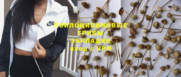 герыч Алексин