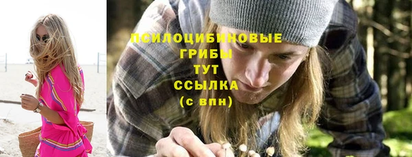 герыч Алексин