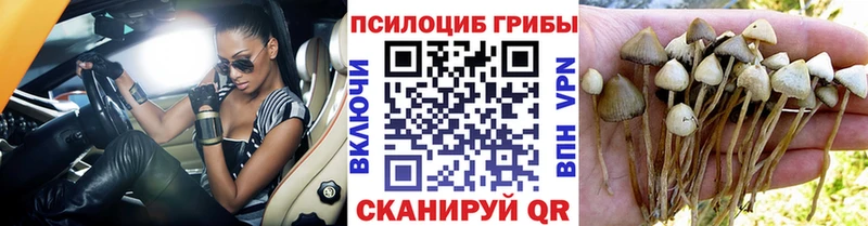 Псилоцибиновые грибы GOLDEN TEACHER  цена   Заволжск 